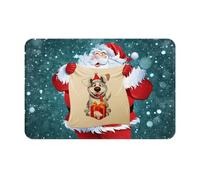 SMSJTMWHN Tapis de bienvenue Merry Christmas pour entrée intérieure et extérieure, tapis de sol discret facile à nettoyer, tapis d'entrée avant, décoration d'intérieur, 61 x 40,6 cm
