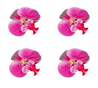 SMTCM Lot de 2 paires de boucles d'oreilles en forme de papillon orchidée - Style vintage - Pour fête, mariage, Noël et tous les jours - Accessoires légers pour femme