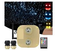 SMTYXS Dual Heads 20w RGBW Twinkle Fiber Optic Light Source App Music Controller LED Engine Driver for Starry Sky Car Star Roof Light