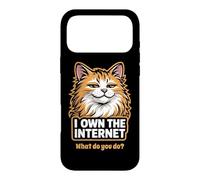 Smug Cat Possède Internet Funny Feline Meme Coque pour iPhone 17 Pro Max