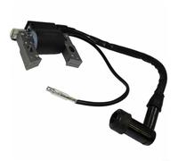 SMZhomeone Module de bobine d'allumage pour PowerMate ProForce 3125 2500 W modèle PM0102500, pièce unique en PVC noir, accessoire de rechange pour équipement électrique extérieur et cour