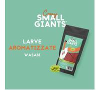 Snack, Larve Essiccate. 20g, Wasabi, Alimentazione, Insetti Aromatizzati, Bio Multicolore
