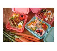 Snackbox schmatzfatz junior 4 compartiments 18 x 15 x 5 cm