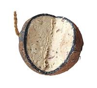 Snacks aux graines d'oiseaux Anneaux de mésanges à la Noix de Coco Bâtonnets de cacahuètes Nourriture errante (Noix de Coco Coupe en V Classique)