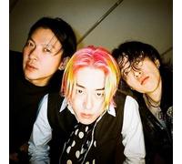 Snake Chicken Soup - More/Smash LP [Vinyl]