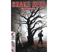 Snake Eyes Declassified #4 (GI Joe A Real American Hero)