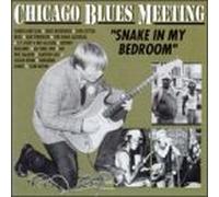 Snake in My Room [Import]