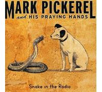 Snake In The Radio