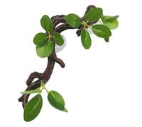 Snake Tank Decor - Suction Cup Tree Branch with Leaves, Resin Climbing Habitat Accessory, Reptile Enclosure Enrichment Toy | Terrarium Ornament for Lizard Gecko Bearded Dragon Habitat Setup