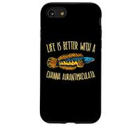 Snakehead Channa Aquarium décoratif pour Aquarium Coque pour iPhone SE (2020) / 7/8