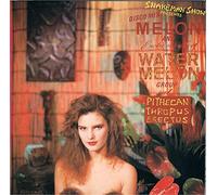 Snakeman Show / Melon / Watermelon Group - Snakeman Show presents Melon and Exotic sounds of Watermelon Group at Pithecan Thropus Erectus