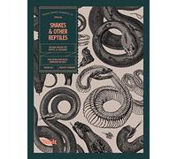 Snakes and Other Reptiles: An Image Archive for Artists and Designers