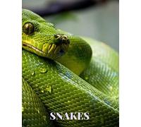 Snakes: Premium Snake Skin Cover Sketchbook, For Doodling, Sketching, Typography, Drawing, 8.5x11 Extra Large,