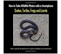 Snakes, Turtles, Frogs And Lizards: How I Use My Smartphone To Capture Reptiles And Amphibians (How To Take Wildlife Photos With A Smartphone)