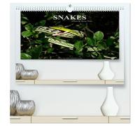 SNAKES / UK-Version (High Quality Premium Wall Calendar 2026 DIN A2 landscape),CALVENDO 12 Month Wall Calendar: Snakes, fascinating reptiles, snake calendar, reptile, Benny Trapp