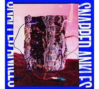 Snapped Ankles - of Your Problems (The Protester EDT. Forest Floor Mixed Vinyl Colour) [Import]