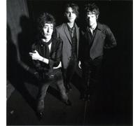 Snatches of Pink - Hyena