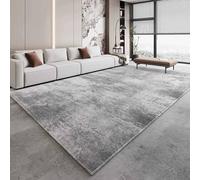 Snaweo Tapis Chauffant éLectrique en GraphèNe, Chauffage de Sol Radiant Infrarouge, Tapis Anti-Peluche, AntidéRapant et Facile à Nettoyer, for La Maison, L'EntréE(Color10,160x230cm/63x90.6in)