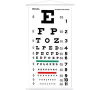 Snellen Eye Chart, tableau mural sur toile non réfléchissant, tableau des yeux encadré en bois pour examens de la vue, 6,1 m 27,9 x 55,9 cm.
