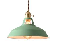 SNHHNSW E27 Screw Single-Head Pendant Light,American Minimalist Style Chandelier,Creative Personality Iron Art Hanging Lamp,Coffee House Restaurant Studio Decorative Lighting Fixtures (Pink)