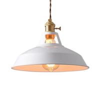SNHHNSW E27 Screw Single-Head Pendant Light,American Minimalist Style Chandelier,Creative Personality Iron Art Hanging Lamp,Coffee House Restaurant Studio Decorative Lighting Fixtures (Pink)