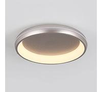 SNHHNSW Pendante Light, colored Routed Alimeure Modern Highlelet LED Plafait de plafond Énergie économiste de plafond minimaliste LAMPLE ACRYIQUE PLAT LUMIÈRE MONTURE MONTURE FACILATE