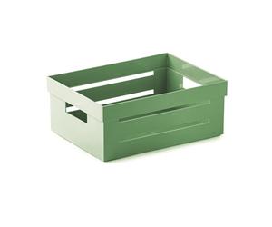 Snips Boîte de Rangement, Organiseur Polyvalent, Contenant Polyvalent 2 L, Couleur Vert, 20 x 15 x 8,5 cm, Made in Italy