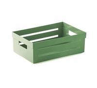 Snips Boîte de Rangement, Organiseur Polyvalent, Contenant Polyvalent 5 L, Couleur Vert, 29,5 x 19,5 x 10 cm, Made in Italy