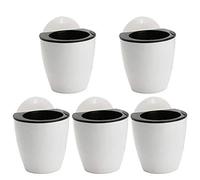 Snner 5pcs Plantes succulentes Fleur de Pot Suspendue en Plastique Mural Paresseux avec 5 Crochets en intérieur Noir Blanc