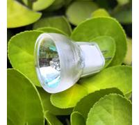 SNNYINZHE Gz4 Mr-8 Halogène Spotlight: 6V 12V, 5W/10W/20W/35W - 3000K Lumière Chaude Pour Un Éclairage Époustouflant Et Crystal Clear Lighting Experience!(6V-5W).