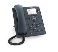 Snom D140 téléphone fixe Gris 2 lignes TFT