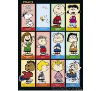 Snoopy and Friends - 68,5x101,5cm - Affiche / Poster