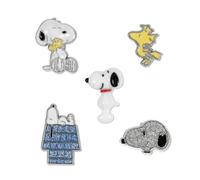 Snoopy Snoopy & Woodstock - Lot de 5 Pins Indifférent Pin's multicolore Métal