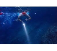 Snorkeling de nuit - Martinique