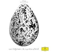 Snorri Hallgrimsson – The Importance of Birds – Import