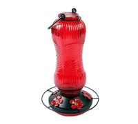 Snorvixre Distributeur de nourriture pour colibri - Bouteille de 760 ml - Avec large ouverture - Nettoyage facile - Pour le jardin, le balcon, l'observation des oiseaux - En verre