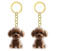 Snorvixre Lot de 1, 2/3/4/5/10 porte-clés transparents avec compartiment de rangement pour chats, amoureux des chiens, étiquettes de condoléances, boîte à souvenirs pour poils de chien