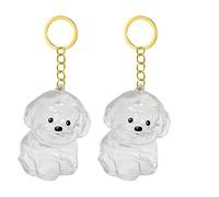 Snorvixre Lot de 1, 2/3/4/5/10 porte-clés transparents avec compartiment de rangement pour chats, amoureux des chiens, étiquettes de condoléances, boîte à souvenirs pour poils de chien