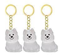 Snorvixre Lot de 1, 2/3/4/5/10 porte-clés transparents avec compartiment de rangement pour chats, amoureux des chiens, étiquettes de condoléances, boîte à souvenirs pour poils de chien