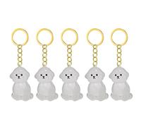 Snorvixre Lot de 1, 2/3/4/5/10 porte-clés transparents avec compartiment de rangement pour chats, amoureux des chiens, étiquettes de condoléances, boîte à souvenirs pour poils de chien