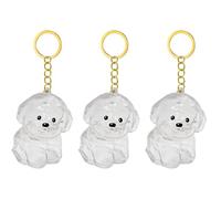Snorvixre Lot de 1, 2/3/4/5/10 porte-clés transparents avec compartiment de rangement pour chats, amoureux des chiens, étiquettes de condoléances, boîte à souvenirs pour poils de chien