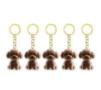 Snorvixre Lot de 1, 2/3/4/5/10 porte-clés transparents avec compartiment de rangement pour chats, amoureux des chiens, étiquettes de condoléances, boîte à souvenirs pour poils de chien