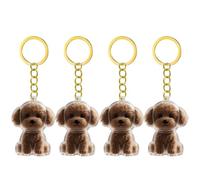Snorvixre Lot de 1, 2/3/4/5/10 porte-clés transparents avec compartiment de rangement pour chats, amoureux des chiens, étiquettes de condoléances, boîte à souvenirs pour poils de chien