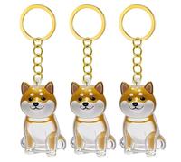 Snorvixre Lot de 1, 2/3/4/5/10 porte-clés transparents avec compartiment de rangement pour chats, amoureux des chiens, étiquettes de condoléances, boîte à souvenirs pour poils de chien