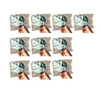Snorvixre Lot de 10 carrés de soleil polyvalents - Style dos - Nettoyage facile pour différents habitats d'animaux de compagnie - Décoration - Plateformes décoratives pour le soleil