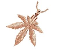 Snorvixre Médaillons commémoratifs avec feuilles d'érable pour cendres d'animaux de compagnie et pendentif pour le souvenir humain de l'enterrement