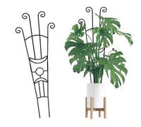 Snorvixre Structure d'escalade en fer en deux parties - Cadre de jardin vertical réglable en hauteur pour l'intérieur et la serre - Deux grilles ascendantes pour plantes