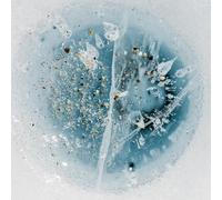 Snow from Yesterday/avec Mad About Lemon