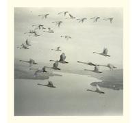 Snow Ghosts - Snow Ghosts-and the World Was Gone 12"Ep