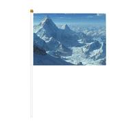 Snow Mountain Lot de 6 mini drapeaux durables de 14 x 21 cm sur bâtons pour extérieur, cour et jardin